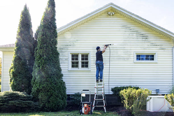 Trusted New Baden, IL Pressure Washing Services Experts